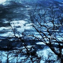 en riktigt fin  bild p&aring; en kittel fj&auml;ll ripa  = . Foto: hampus fj&auml;llstedt.