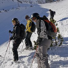 Foto: Johan Zetterstr&ouml;m.