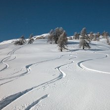 Sn&ouml;yra 2006 . Foto: Louise Montgomery.