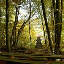 H&ouml;st i V&aring;nga. Foto: Anton Jensen.