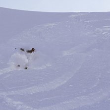 Sn&ouml;n var grymt fluffig d&aring; det var kallt n&auml;r sn�. Foto: Stefan Lindgren. &Aring;kare: &Ouml;sten Lindgren.