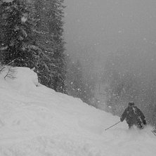 En inte fullt s&aring; vacker dag i skogen ner mot Arge. Foto: Erik Tjerneld. &Aring;kare: Markus Emg&aring;rd.