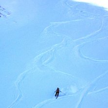 Foto: Daniel &Ouml;kvist. &Aring;kare: Maria J&ouml;nsson.