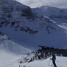 Cornis shot. Foto: Tim Dufficy. &Aring;kare: Riley Rice.