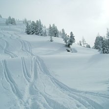 Foto: Jonas Johansson.