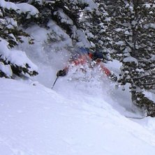 Foto: Johan Dar&eacute;n. &Aring;kare: Anders Lindgren.