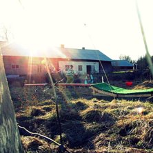 En bild som &auml;r tagen bakom ett st&auml;ngsel med str�. Foto: Joakim R&ouml;hlander. &Aring;kare: Fredrik Sj&ouml;din.