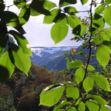 Foto: Jimmy Berglund.