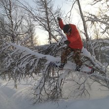 Foto: Katarina Sj&ouml;gren. &Aring;kare: Pierre Holm.