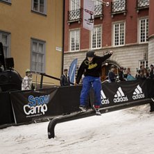 Winter Show i Kungstr&auml;dg&aring;rden 2014.. Foto: Hedda Berander.