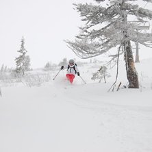 V&auml;dergudarna &auml;r med S&auml;len i &aring;r..........3 deci. Foto: Niklas Hagman. &Aring;kare: Nina Hallstr&ouml;m.