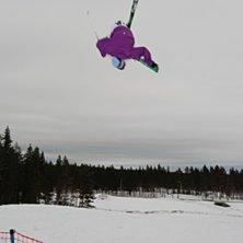 snurr med grab. Foto: Carl Hansols. &Aring;kare: Frej.