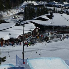 en lugn 3a som fick sig en konstig lut med en sena. Foto: s.