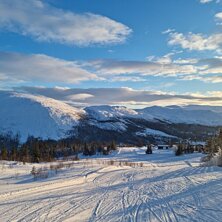 Bydalsfjällen Foto