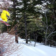&Aring;kare: Alexander Rutgersson.