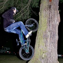 jonas g&ouml;r en tree ride. Foto: August Tynong. &Aring;kare: jonas.