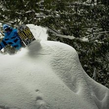 Foto: Filip Angwald. &Aring;kare: M&aring;ns J Olsson.