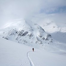 Foto: Robert Moskowitz. &Aring;kare: Hanna Wird.