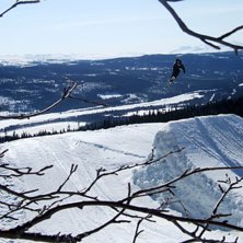 3,a critical. Foto: lee. &Aring;kare: fjolly.