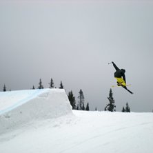 Foto: Erik. &Aring;kare: Gustav Levin.