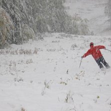 Brorsan var f&ouml;rst ifjol s&aring; d&aring; kan jag ju inte v. Foto: Jan Bergman. &Aring;kare: David Gunnarstedt.