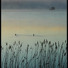 Soluppg&aring;ng &aring; lite dimma &aring; lite f&aring;glar &aring; lite . Foto: Simon Pont&eacute;r.