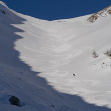 Foto: Johan Zetterstr&ouml;m. &Aring;kare: Christer Carlsson.