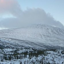 Nysn&oslash;
Da fikk vi endelig fersk sn&oslash; - 12 cm! Det .