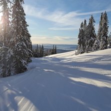 Nydelige forhold med masse nysn&oslash;
Sola skinner og .