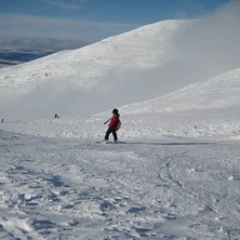 i &aring;re.. Foto: Agnes Wiklund. &Aring;kare: Andrea.