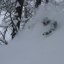 Foto: Andrew Lerner. &Aring;kare: Mattias Johansson.