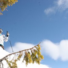 Foto: Isak Hemmingsson. &Aring;kare: Alexander Mebius.