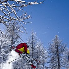 180 japan i skogen. Foto: Adam Jonsson. &Aring;kare: Robin Ljungqwist.