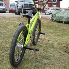 Eastern shovelhead -08. Foto: Viktor Olofsson.