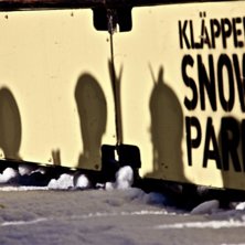 Foto: Freja Zeidlitz.