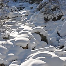 Foto: Johanna Fischer.