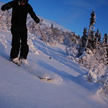 Foto: Johan Anderzen. &Aring;kare: Kent Johansson.