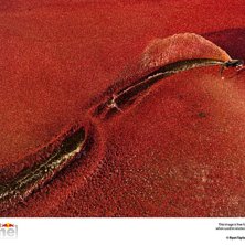 Foto: Ryan Taylor. &Aring;kare: Ben Horan.