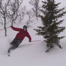 Skogis i &Aring;re.. Foto: Josef Ragnarsson. &Aring;kare: Anton Sigvardsson.