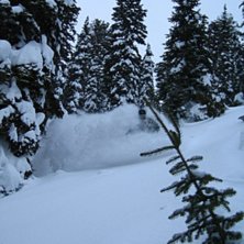 Foto: Johan &Ouml;gren. &Aring;kare: Christer H&auml;llare.