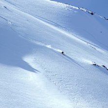 Foto: P&auml;r Blomqvist. &Aring;kare: Frida Ahlb&auml;ck.