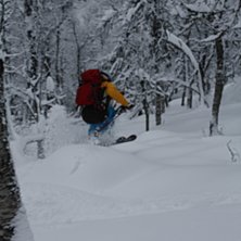 fluffiga kuddar i Hemsedal. Foto: Bj&ouml;rn Asplund. &Aring;kare: Magnus.
