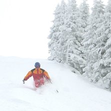 Foto: Camilla Wennerstr&ouml;m. &Aring;kare: David Drazdil.