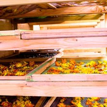 Foto: Christine Hargin.