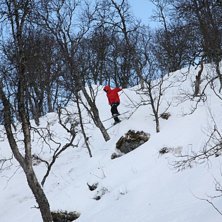 Foto: Patrik Holmberg. &Aring;kare: Fredrik Schaerstr&ouml;m.