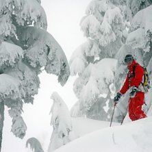 Grym puderdag!!!. Foto: Joe fr&aring;n Powder mountain catskiing. &Aring;kare: Fredrik Elf.