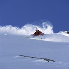 Foto: Martin S&ouml;derqvist. &Aring;kare: Daniel Johansson.