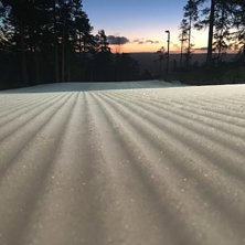 Faste og fine forhold!
Faste og fine forhold i dag.