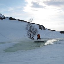V&aring;r i gr&auml;nsen. Foto: Fredrik Sidev&auml;rn. &Aring;kare: Dr.Lundborg.
