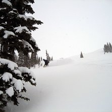 Foto: Kajan. &Aring;kare: Johnny Jaws.